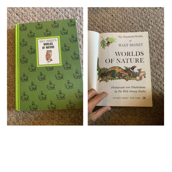 Vintage Wonderful World Of Walt By Disney Boxed Set Of 4 Books - Picture 10 of 15